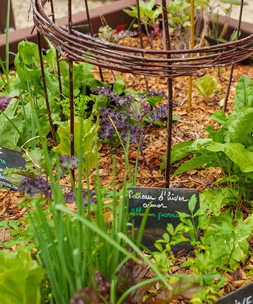Jardinière avec des plantes aromatiques étiquetées.
