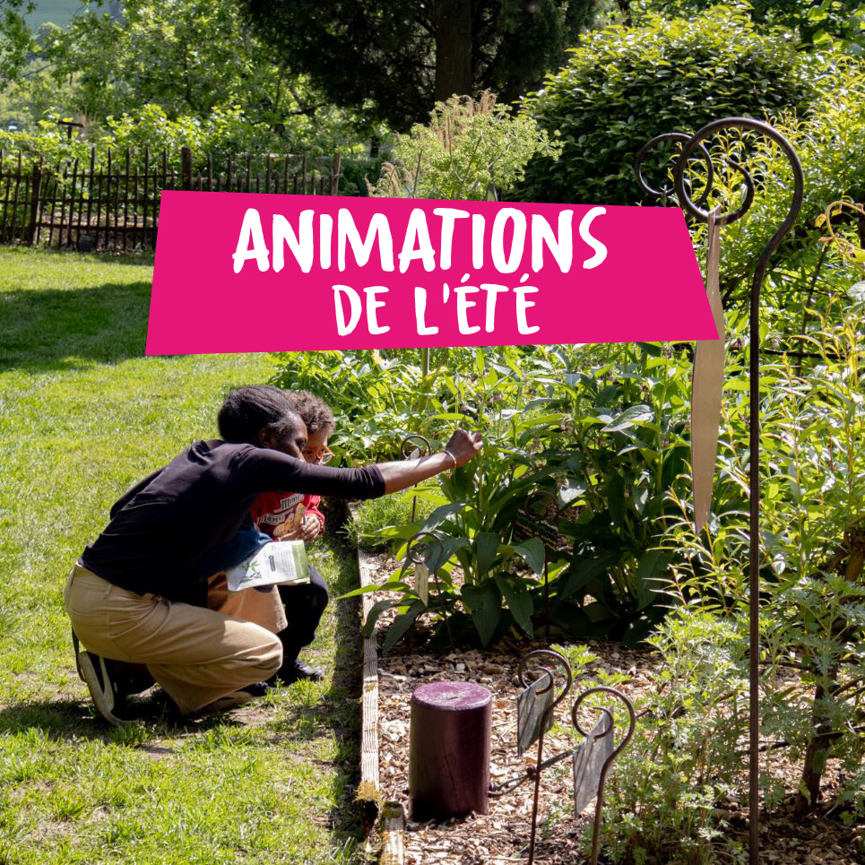 You are currently viewing Animations de l’été !